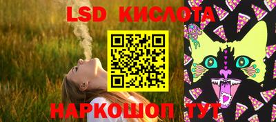 прущие грибы Керчь