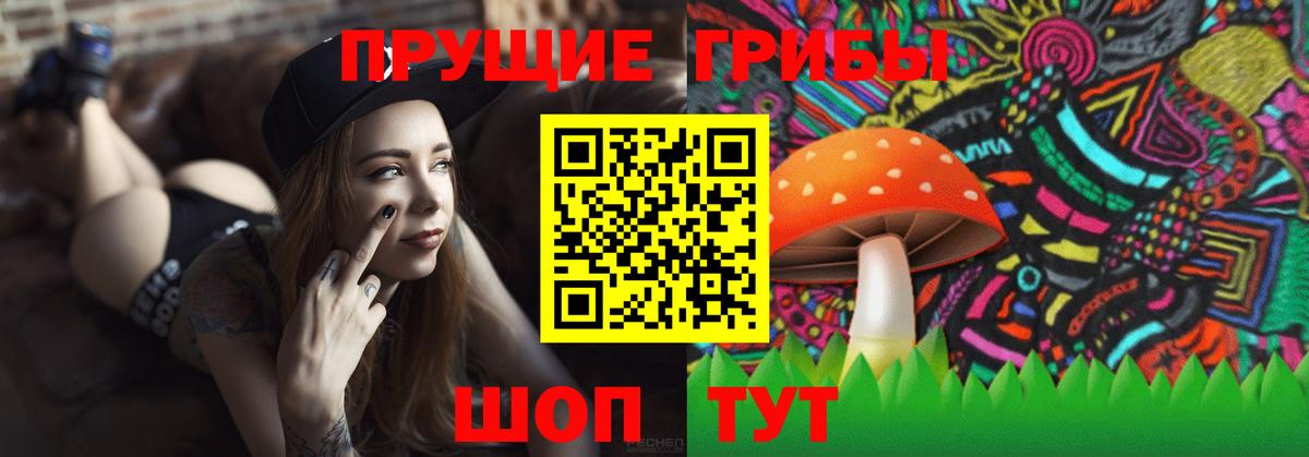 Ачинск  наркошоп  Вход с VPN  Псилоцибиновые грибы ЛСД 